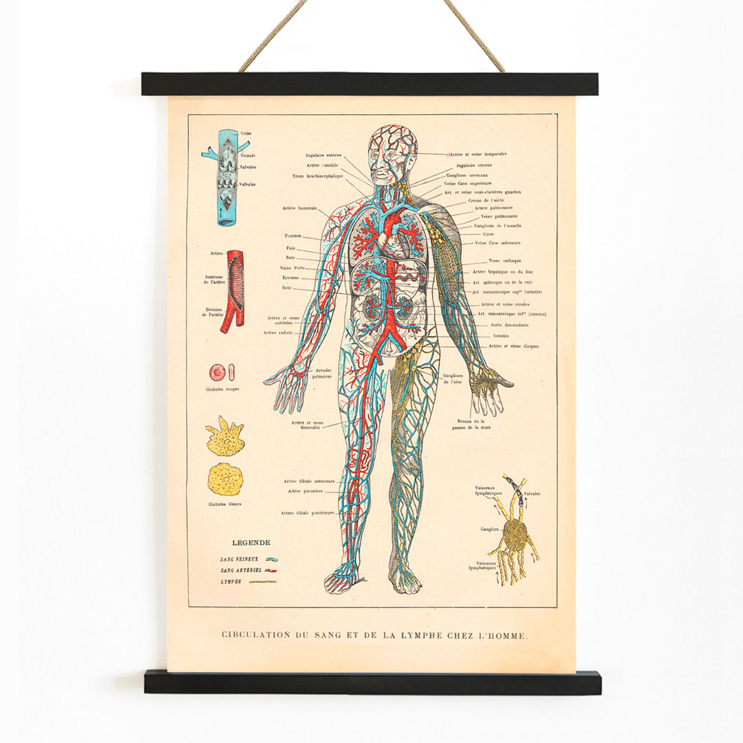 , with wooden magnetic frame on white background