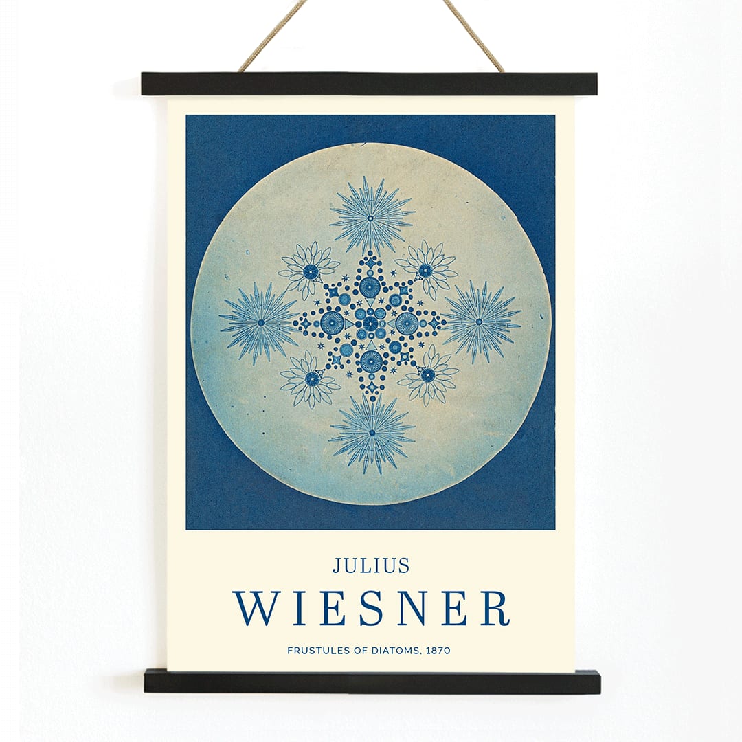Frustules of Diatoms cyanotype artwork and poster by Julius Wiesner featuring intricate blue diatom designs on a circular background, with wooden magnetic frame on white background