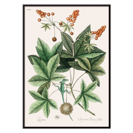 , with black aluminium frame on white background