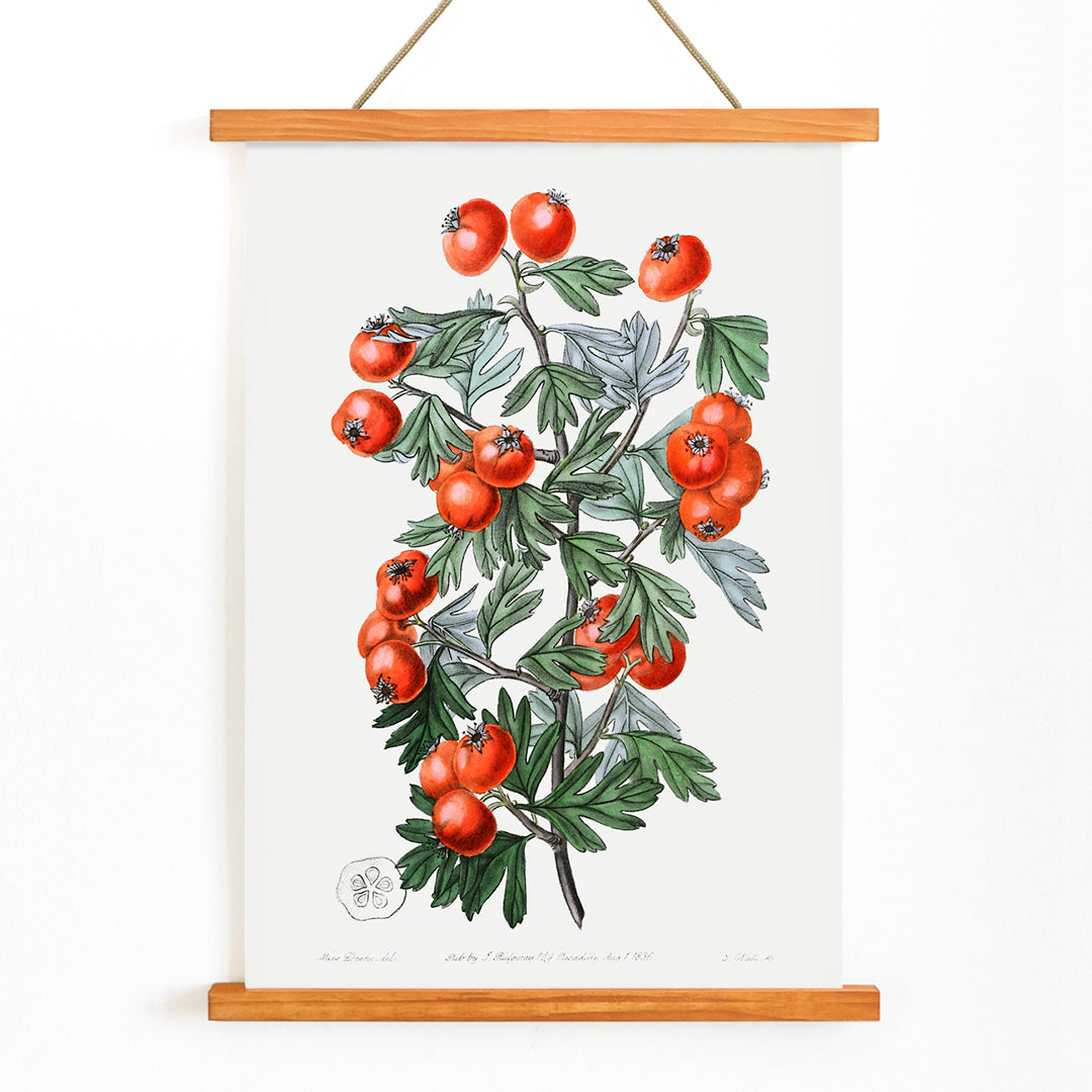 , with wooden magnetic frame on white background