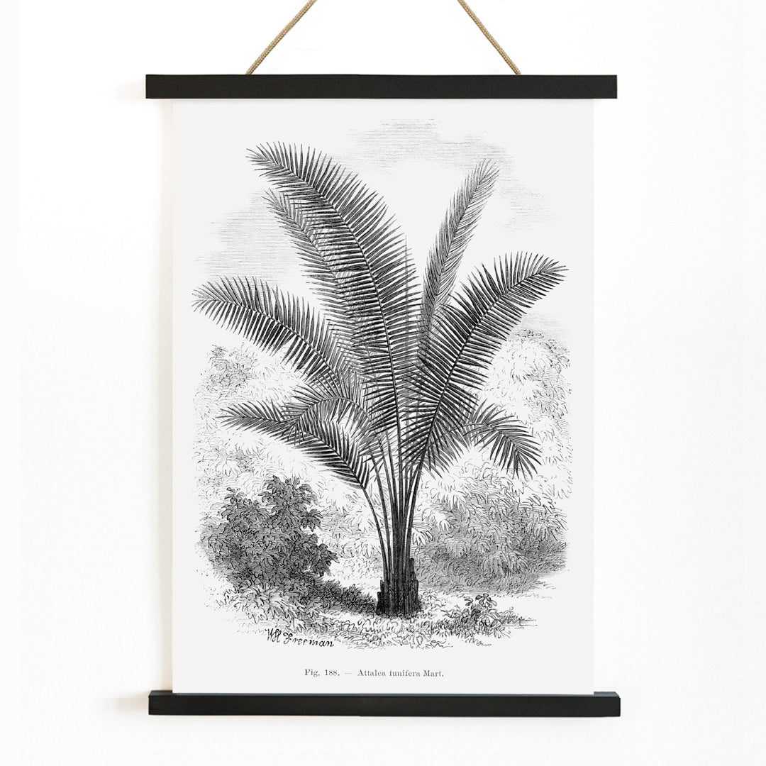 , with wooden magnetic frame on white background
