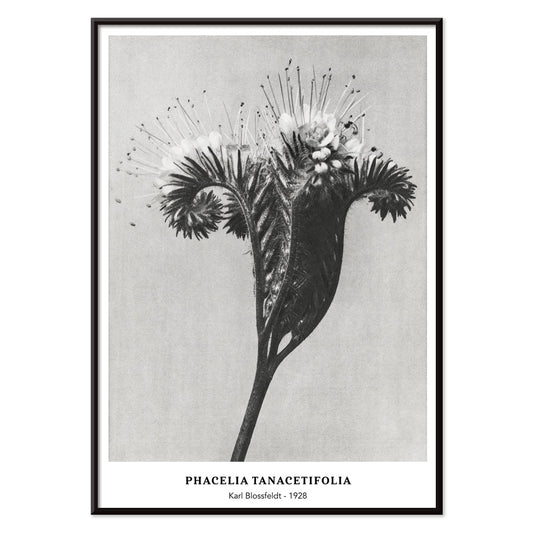 , with black aluminium frame on white background