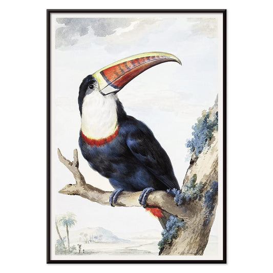 Red-billed Toucan perched on a branch in a landscape painting by Aert Schouman poster artwork, with black aluminium frame on white background
