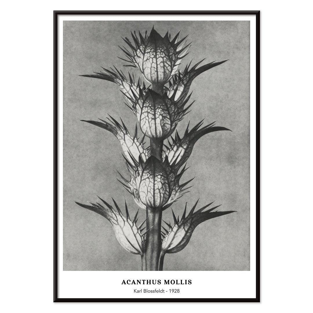 , with black aluminium frame on white background