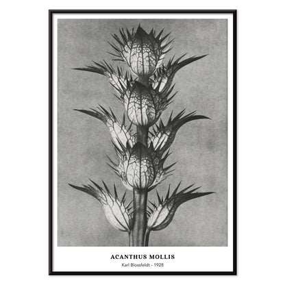 , with black aluminium frame on white background