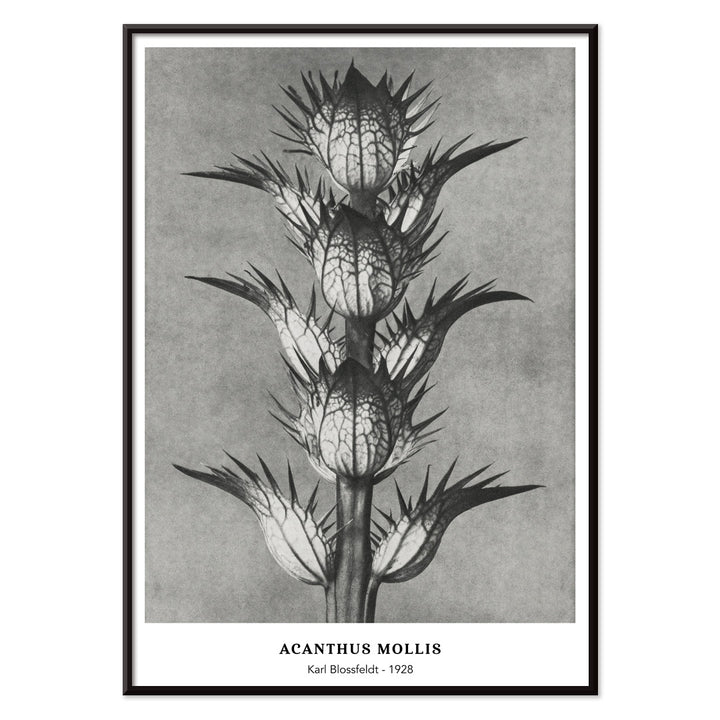 , with black aluminium frame on white background