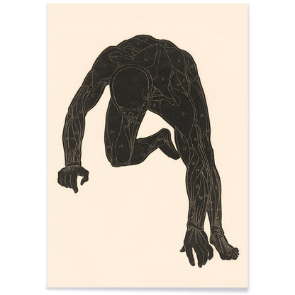 Anatomical illustration of human muscular anatomy and crouching figure from Neck Muscles by Reijer Stolk, with black aluminium frame on white background