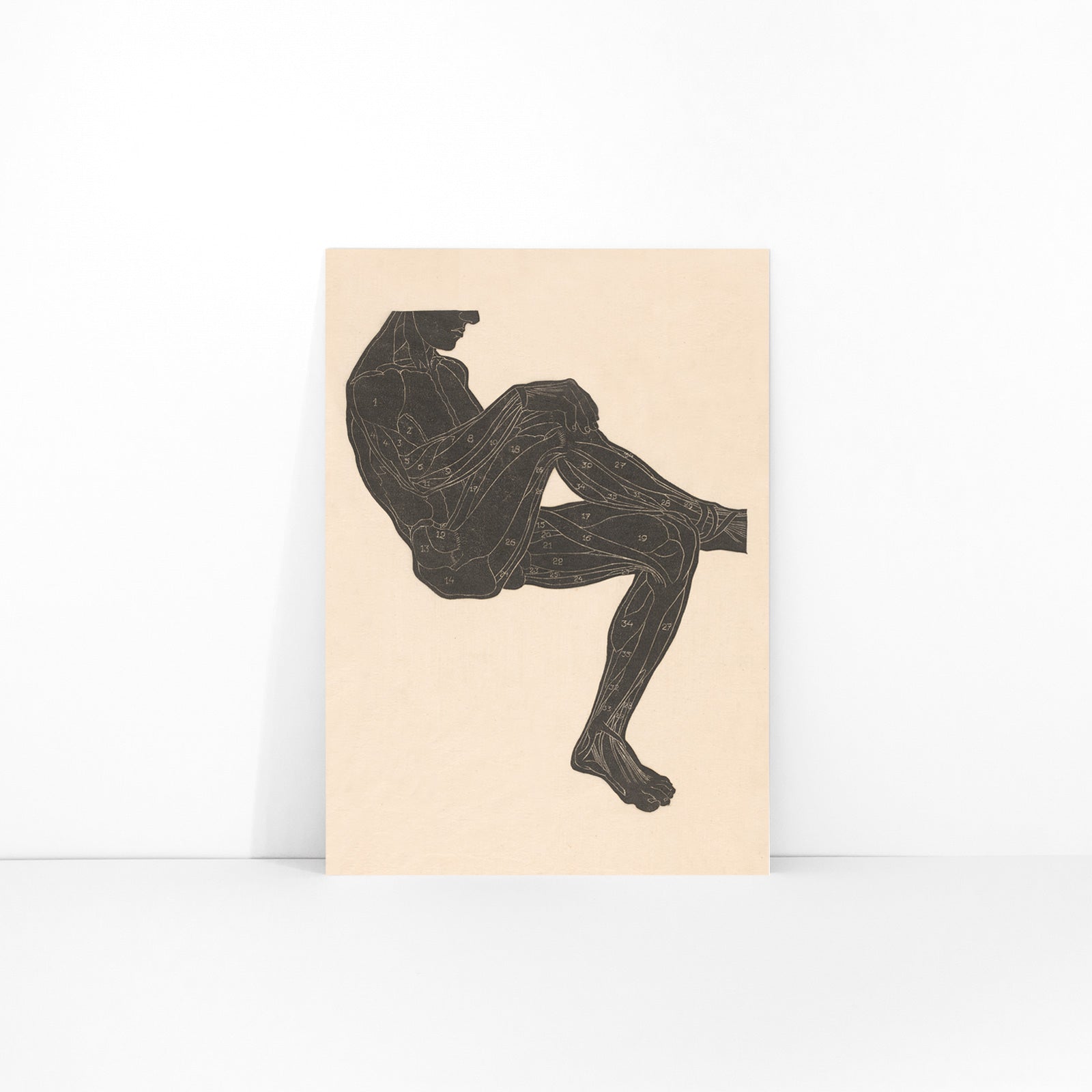 Anatomical illustration of human leg muscles in a seated figure poster by Reijer Stolk, framed and displayed in modern living room decor