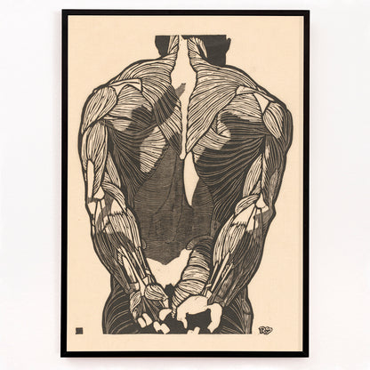 Closeup detail of Detailed anatomical illustration of human back muscles artwork titled Back Muscles by Reijer Stolk with intricate linework