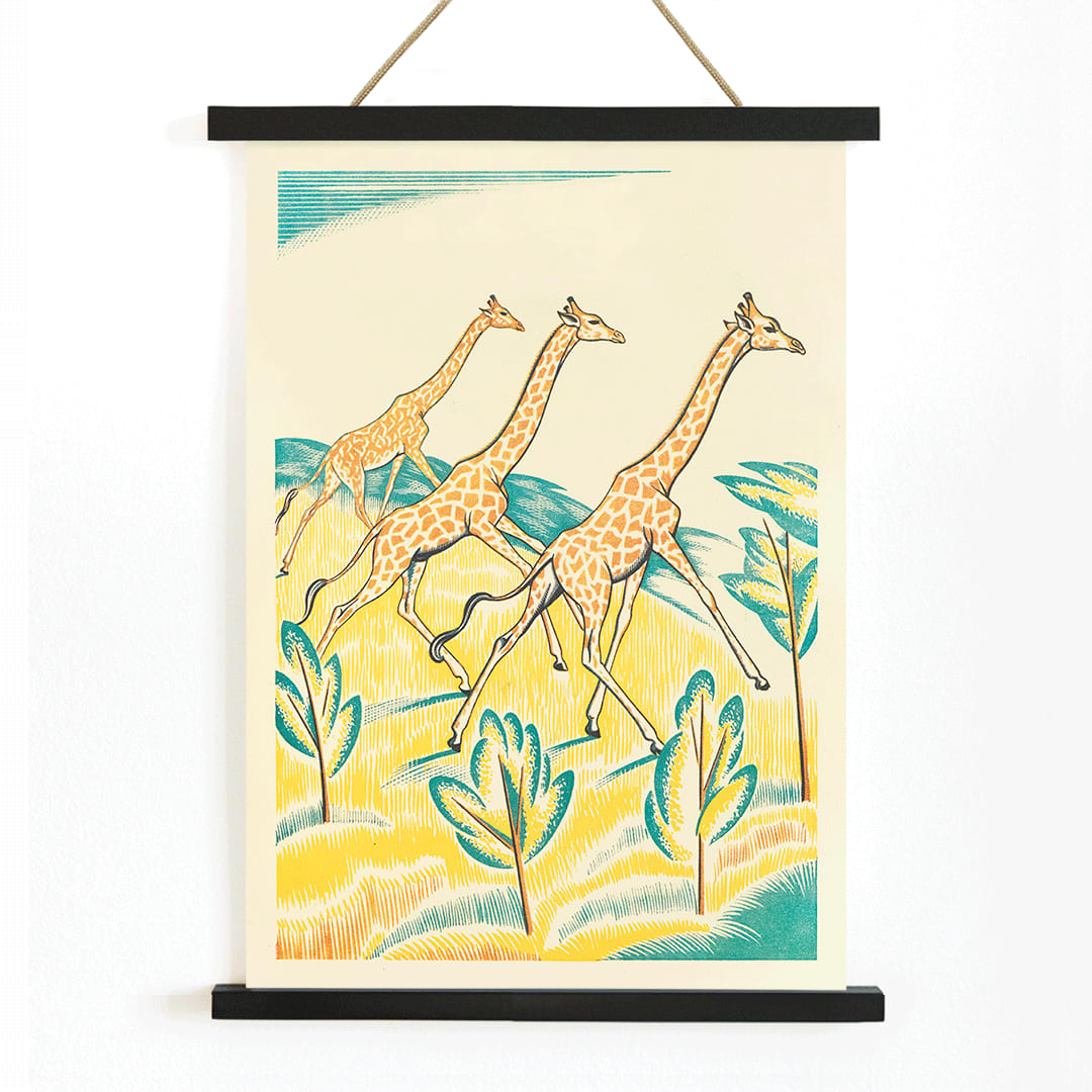 Colorful jungle artwork with three giraffes by Clifford Webb titled A Jungle Picnic Pl.04 Girafe, with wooden magnetic frame on white background