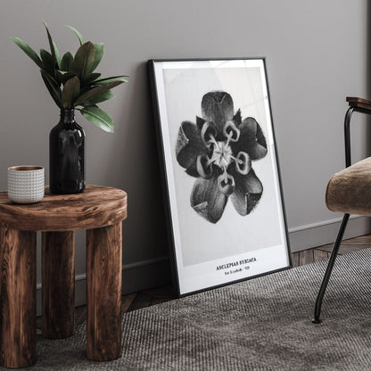 , framed and displayed in home decor