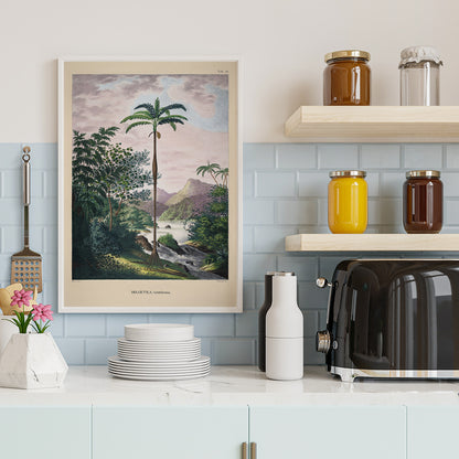 Iriartea ventricosa palm tree in lush tropical landscape artwork by Carl Friedrich Philipp von Martius poster, framed and displayed in home decor