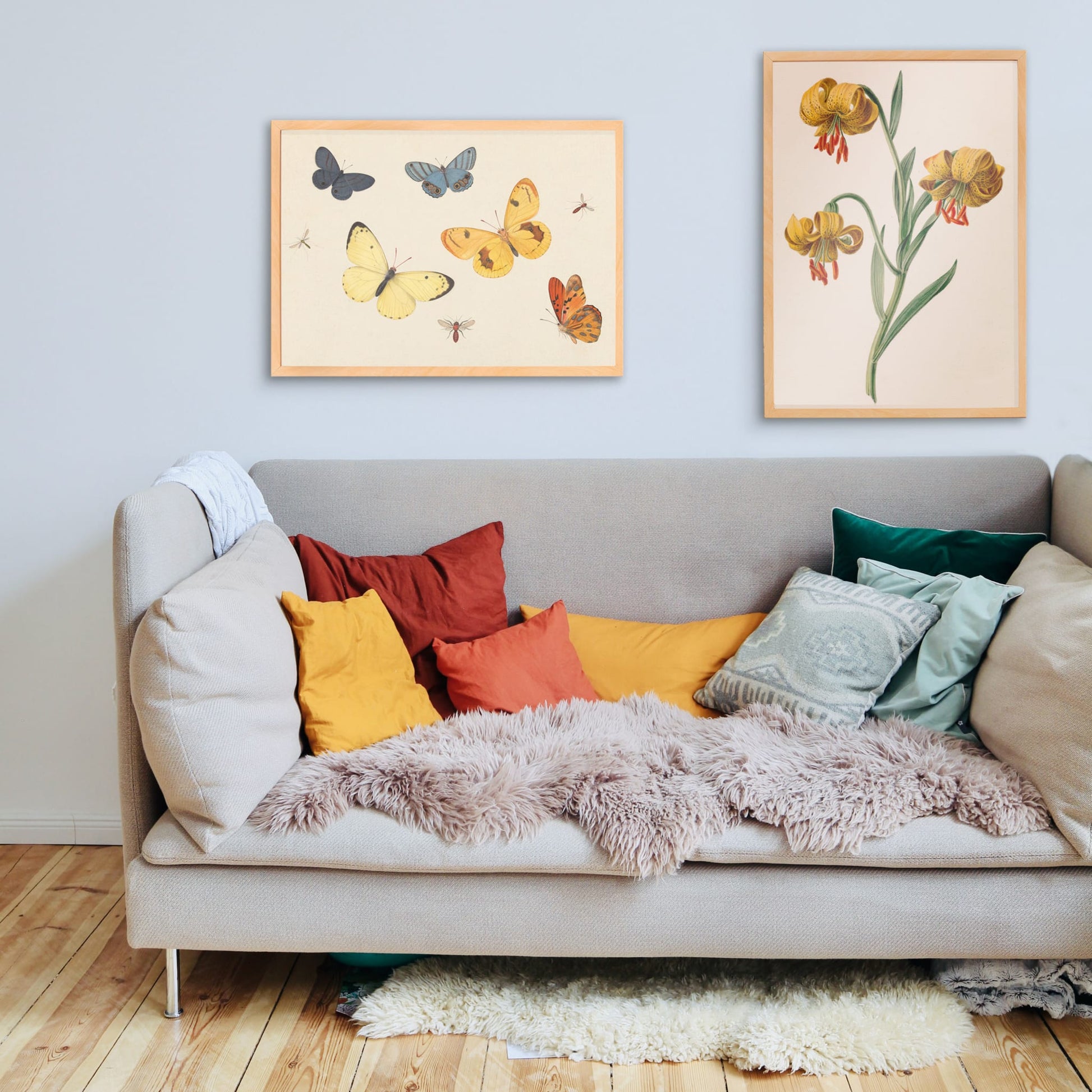 Illustration and poster of butterflies wasp and flies from Five Butterflies a Wasp and Two Flies by Pieter Withoos, framed and displayed in home decor