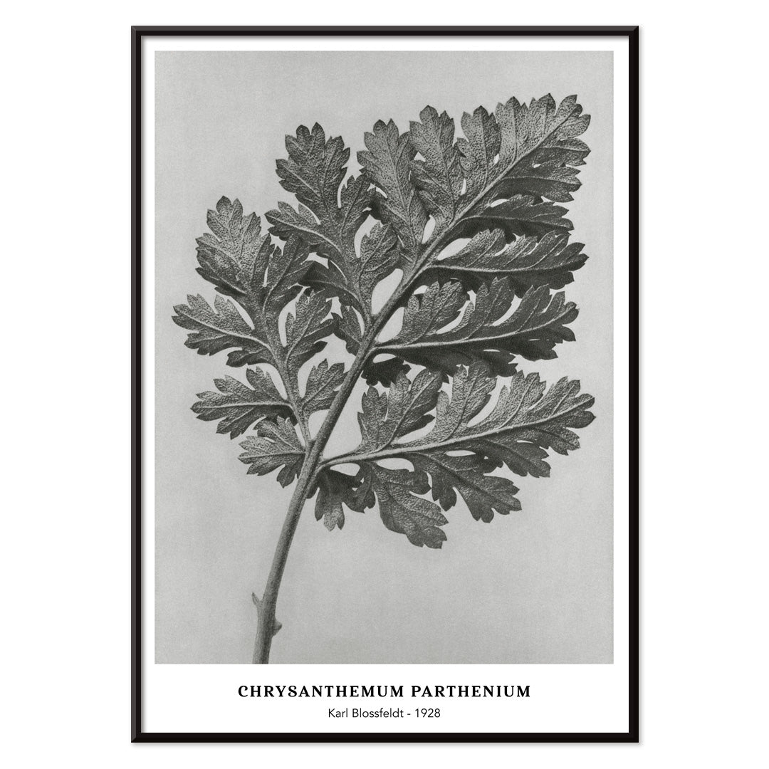 , with black aluminium frame on white background