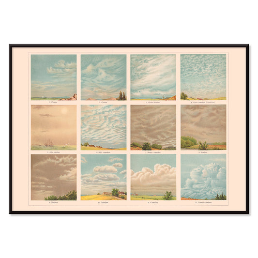 Vintage illustrated chart and poster of cloud types and formations titled Cloud Shapes by The Institute of Liepzig with descriptive labels, with black aluminium frame on white background