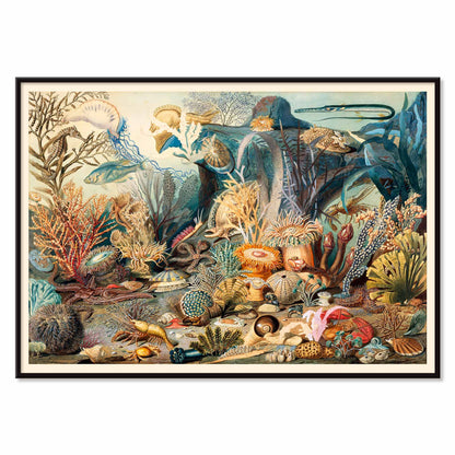 Vibrant underwater scene with colorful marine life plants and sea creatures artwork Ocean Life by James M Sommerville, with black aluminium frame on white background