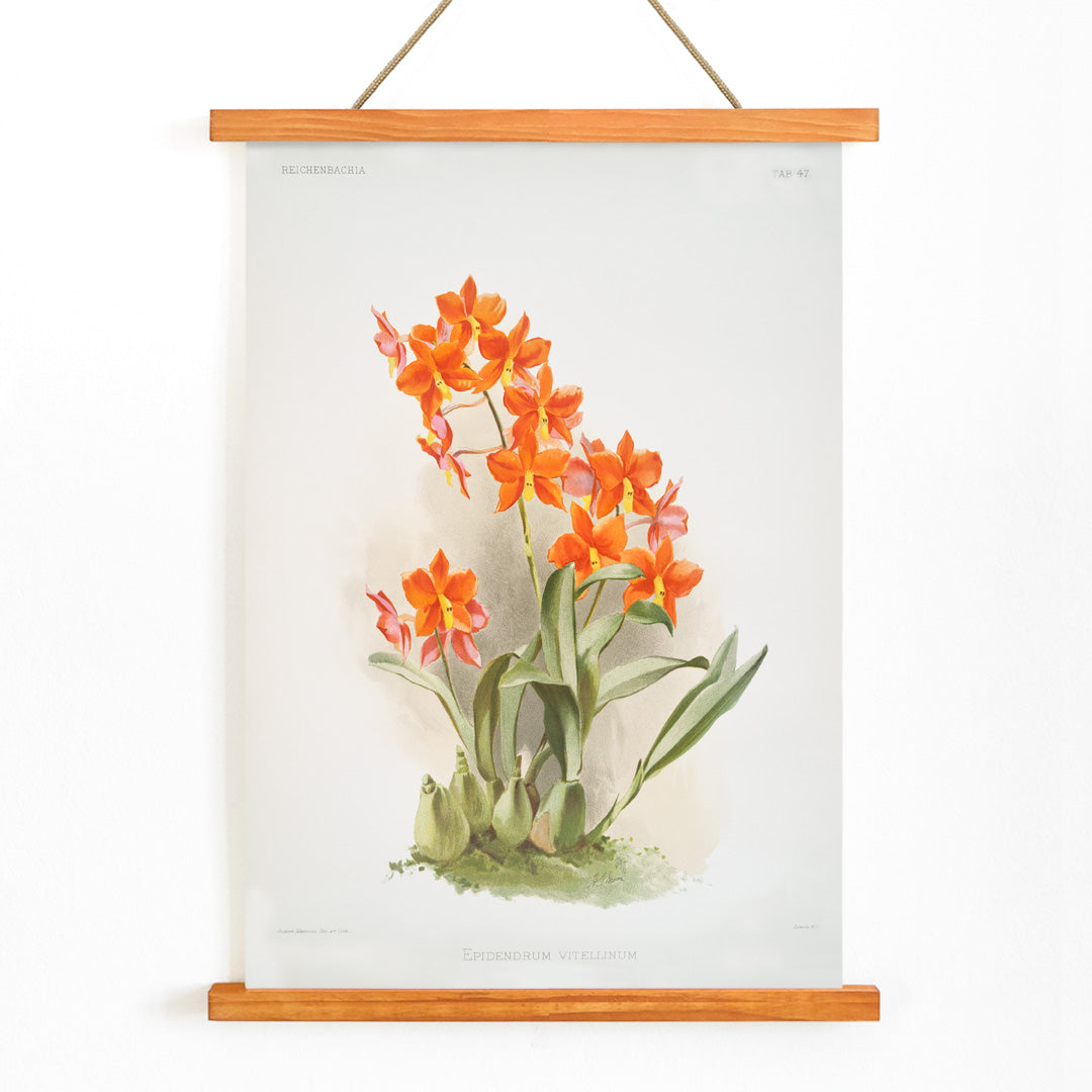 , with wooden magnetic frame on white background