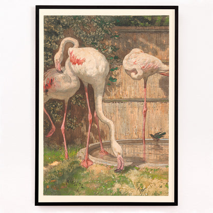 Closeup detail of Three flamingos standing and drinking near a basin in a garden artwork by August Allebé titled Three Flamingos near a Basin poster