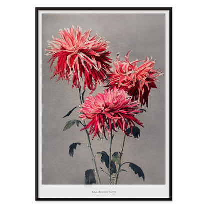 , with black aluminium frame on white background