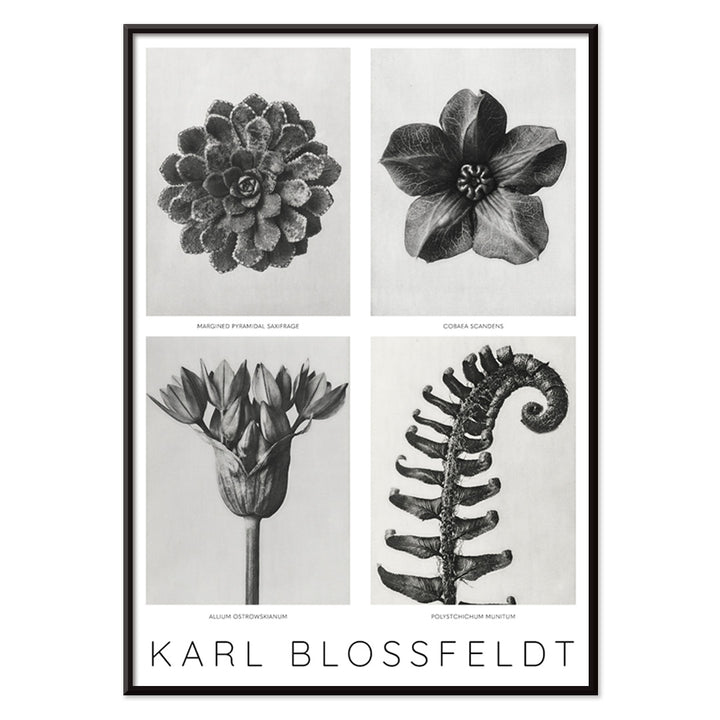 , with black aluminium frame on white background