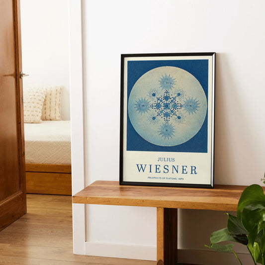 Frustules of Diatoms cyanotype artwork and poster by Julius Wiesner featuring intricate blue diatom designs on a circular background, framed and displayed in home decor