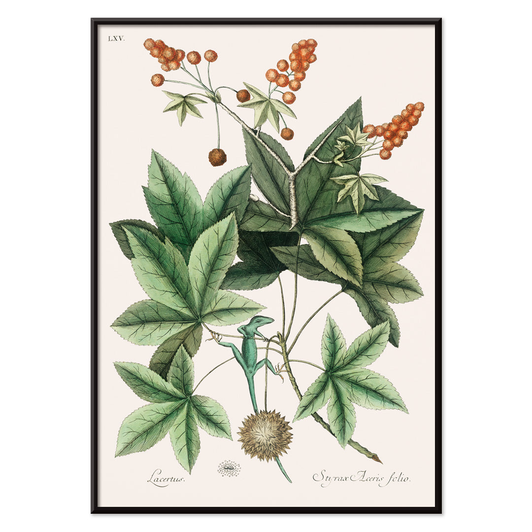 , with black aluminium frame on white background