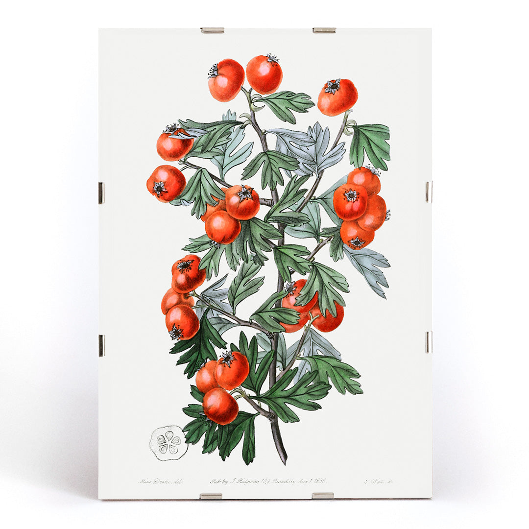 , framed and displayed in modern living room decor