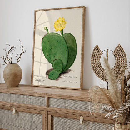 Indian fig opuntia cactus illustration by Karl Eduard Burger from Familie Der Cacteen showing a green cactus with a yellow flower, framed and displayed in home decor