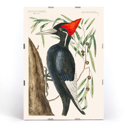 , framed and displayed in modern living room decor