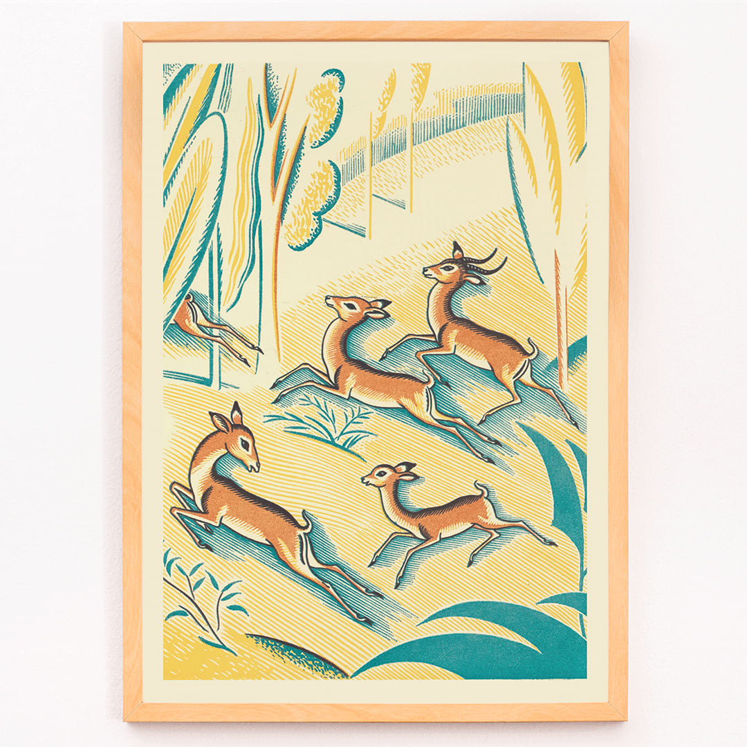 Gazelles in a colorful jungle scene A Jungle Picnic Pl.01 Gazelle by Clifford Webb illustration and poster, framed and displayed in modern living room decor