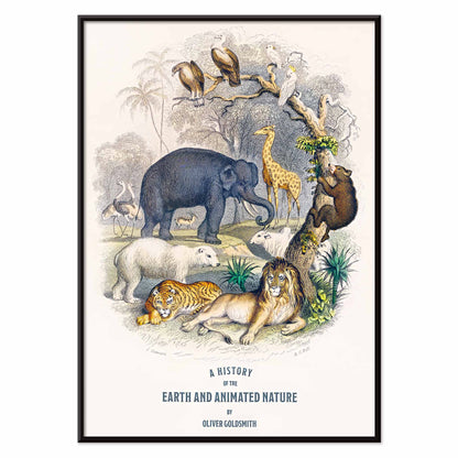 Wild animals and birds illustrated on the cover of A history of the earth and animated nature by Oliver Goldsmith poster, with black aluminium frame on white background