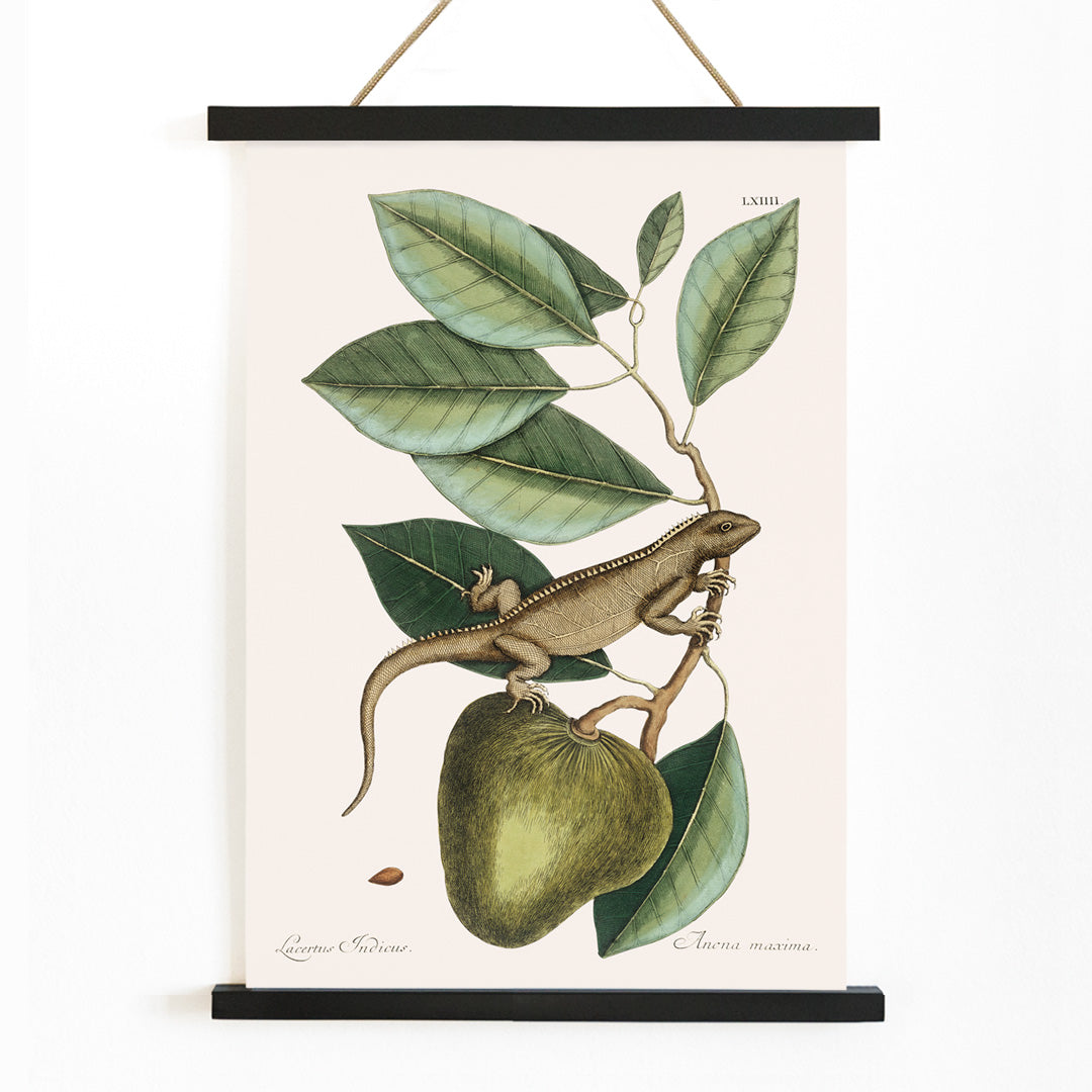 , with wooden magnetic frame on white background