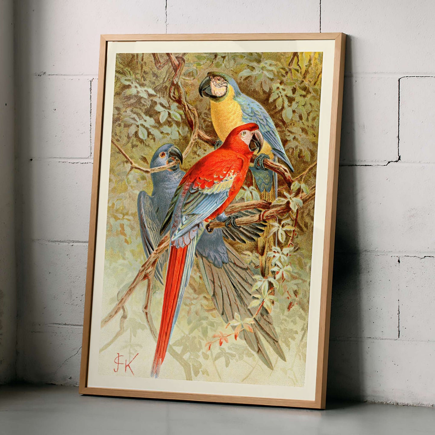 Colorful macaws perched on tree branches in a lush forest vibrant macaw artwork poster, framed and displayed in modern living room decor