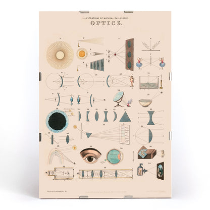 , framed and displayed in modern living room decor