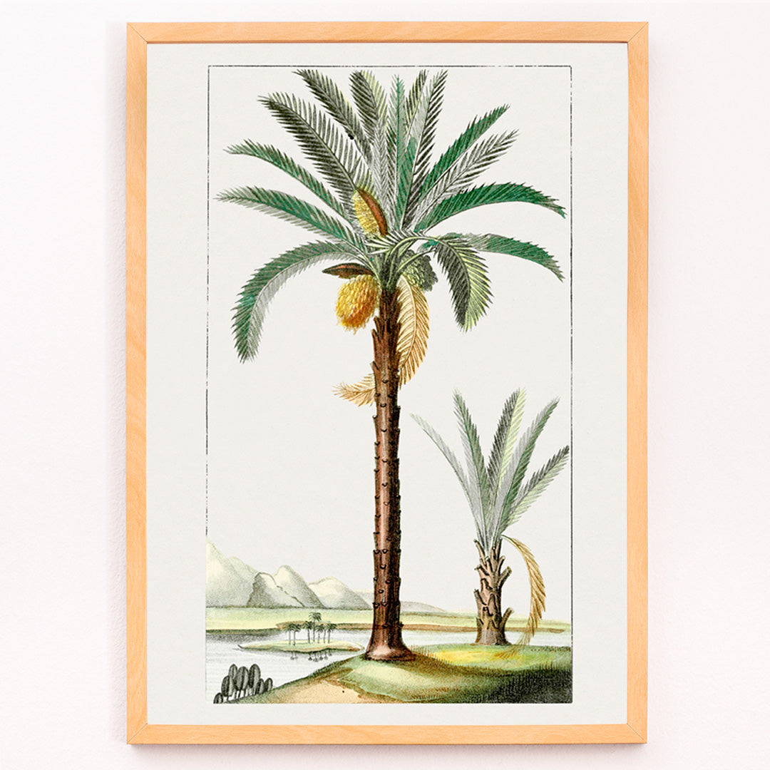 Closeup detail of Hand drawn palm tree art print poster with detailed leaves and landscape background