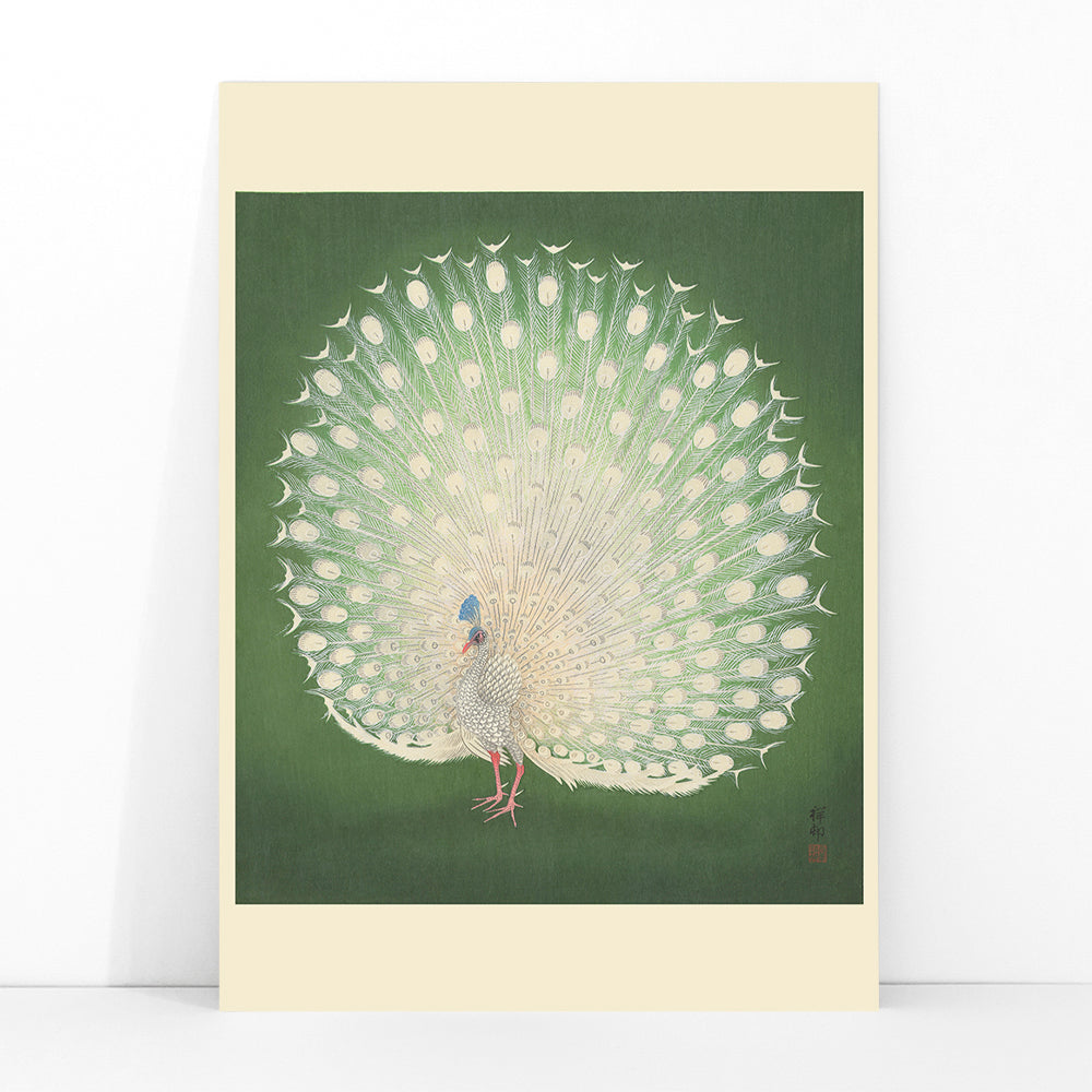 Elegant white peacock with full plumage on green background artwork by Ohara Koson poster, framed and displayed in modern living room decor