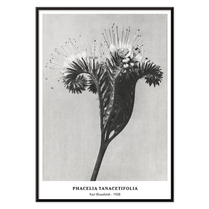 , with black aluminium frame on white background
