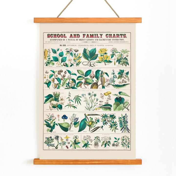 , with wooden magnetic frame on white background