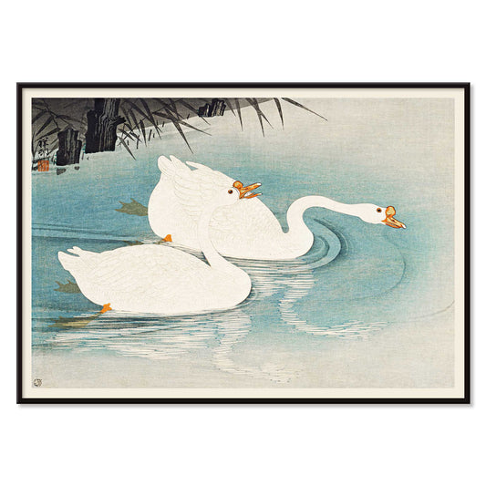 White geese swimming among blue water and reeds Geese amid Reeds by Ohara Koson poster, with black aluminium frame on white background