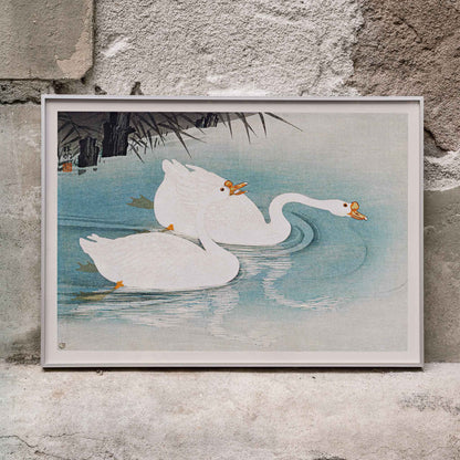 White geese swimming among blue water and reeds Geese amid Reeds by Ohara Koson poster, framed and displayed in modern living room decor