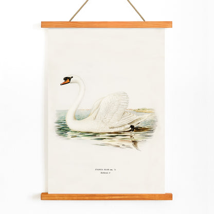 , with wooden magnetic frame on white background