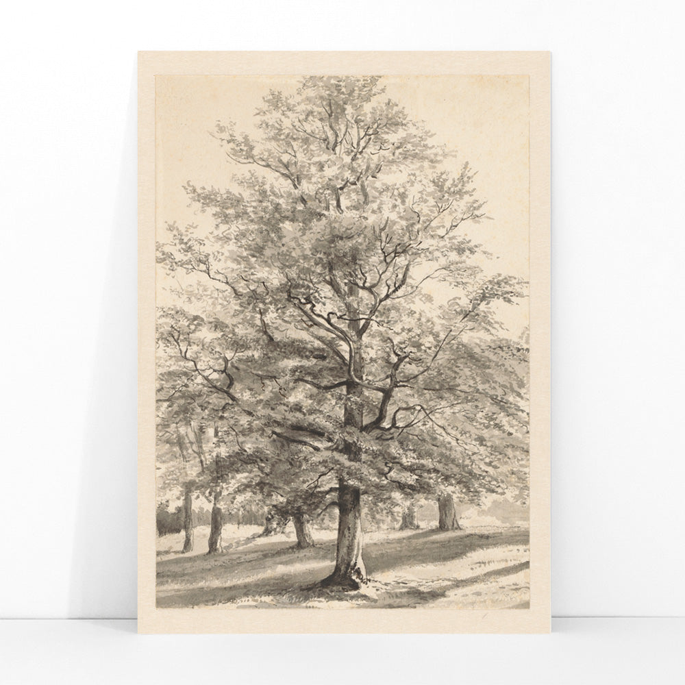 Detailed drawing of a large tree in a sunlit natural landscape titled Big Tree by Cornelis Steffelaar poster, framed and displayed in modern living room decor