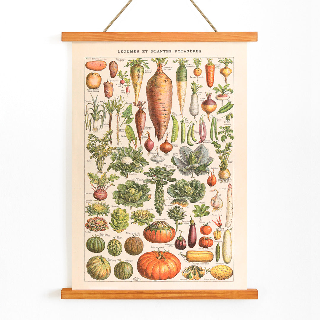 , with wooden magnetic frame on white background