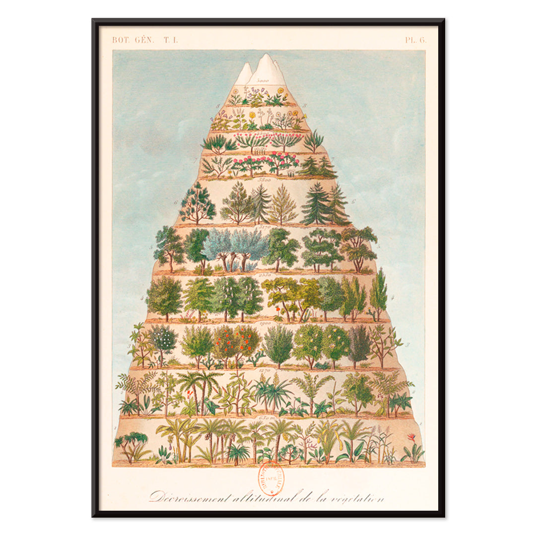 , with black aluminium frame on white background