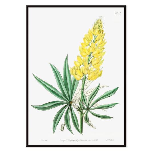 , with black aluminium frame on white background