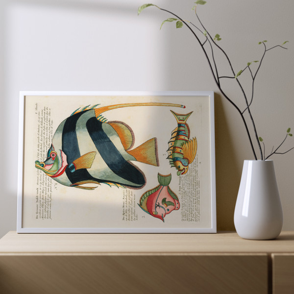 Illustrations colorées et surréalistes de poissons 2