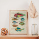 Illustrations colorées et surréalistes de poissons 4