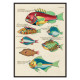Illustrations colorées et surréalistes de poissons 4