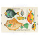 Illustrations colorées et surréalistes de poissons 5