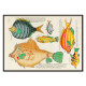 Illustrations colorées et surréalistes de poissons 5